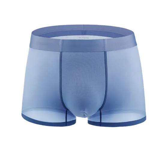 100s Men Panties Mens Ice Silk Boxers Seamless Sexy Underwear
