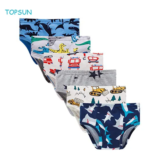 Little Boys Briefs Dinosaur Truck Toddler Kids Underwear (Pack of 6)