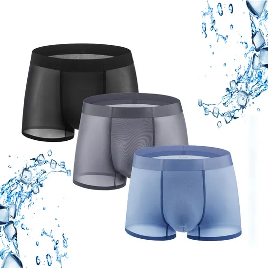 100s Ice Silk Mens Boxers Trunks Seamless Boxers Underpants 