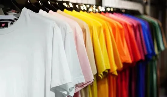 Custom High Quality 100% Combed Cotton 250 Grams Mens Blank Casual Long Sleeve T Shirt 