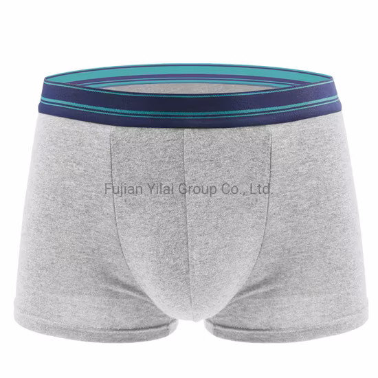 Custom High Quality Polyester Breathable Underwear Sport Men Underwear Elastic Custom Logo Waistband Mens Boxer Brief