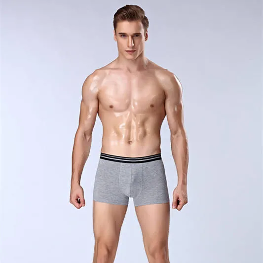 Classical High Quality Men′s Boxer Shorts Seamless Mens Underwear 