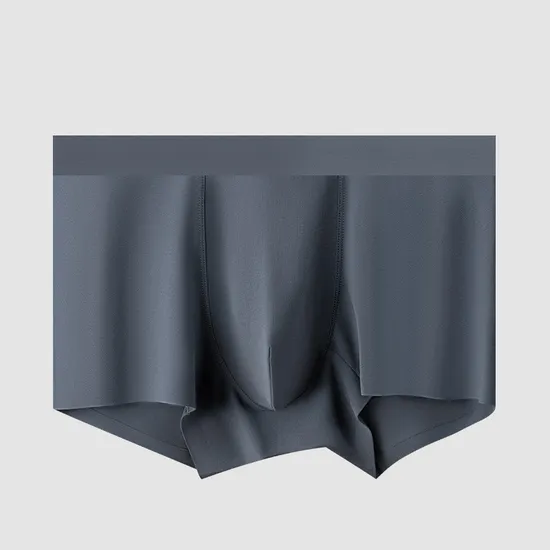 Mens Sexy Underwear Men Tagless Label Mens Underpants Boxers 
